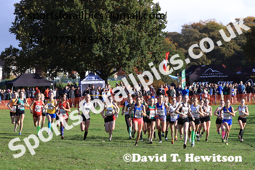 Girls under-15s, 2024 Northern Cross Country Relays, Graves Park, Sheffield.   Photo: David T. Hewitson/Sports for All Pics